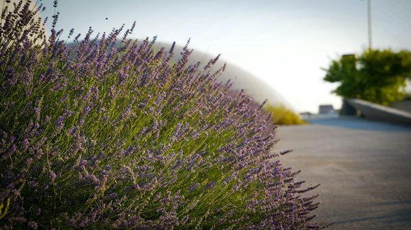 10 Ingenious Space-Saving Furniture Ideas for Creating a Cozy UK Home